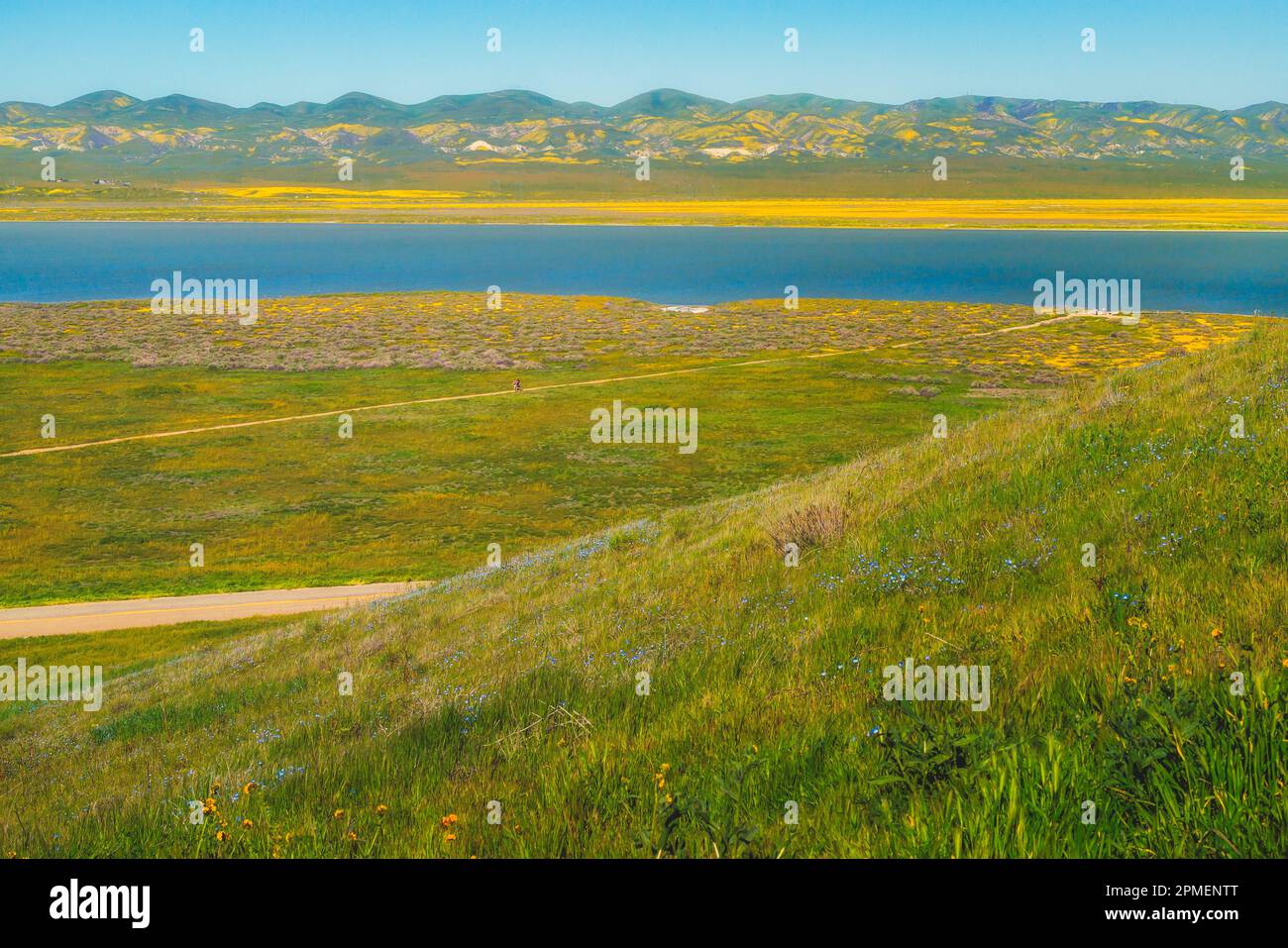Il lago Soda si affaccia e i fiori selvatici fioriscono al Carrizo Plain Ntional Monument, California centrale Foto Stock