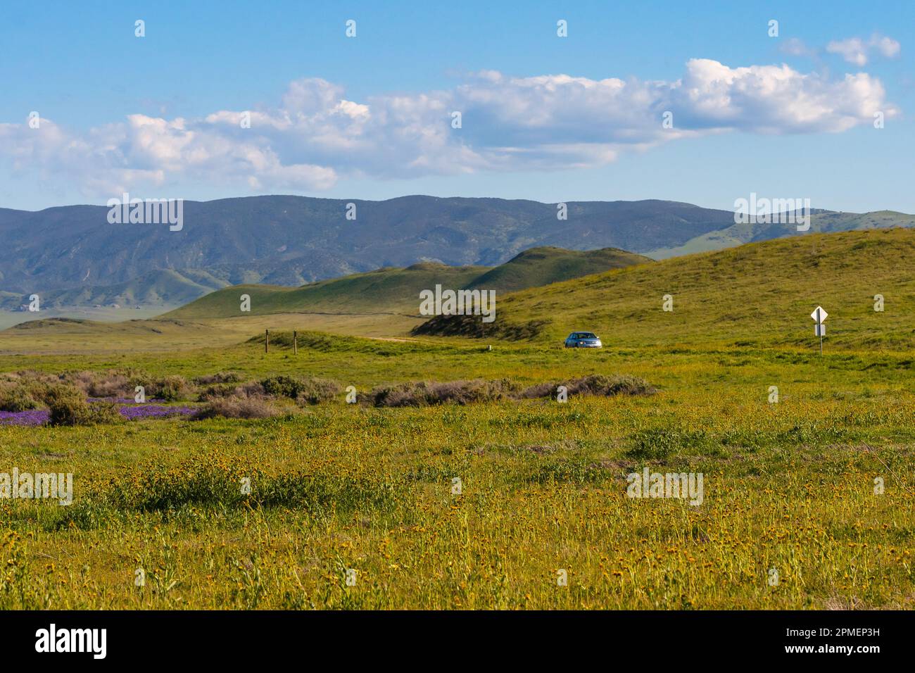 Si affaccia sulle colline e sul lungomare lungo il lago Soda nella piana di Carrizo per ammirare le migliori superfiorite, la California centrale Foto Stock