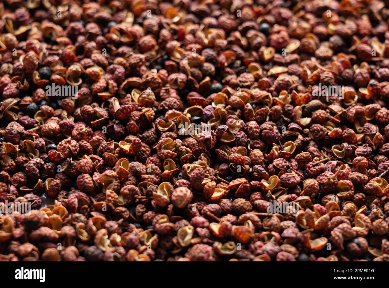 Pepe di Sichuan messo in tutto lo schermo. Il pepe di Sichuan è un membro della famiglia del sansho usato nella cucina cinese. Foto Stock