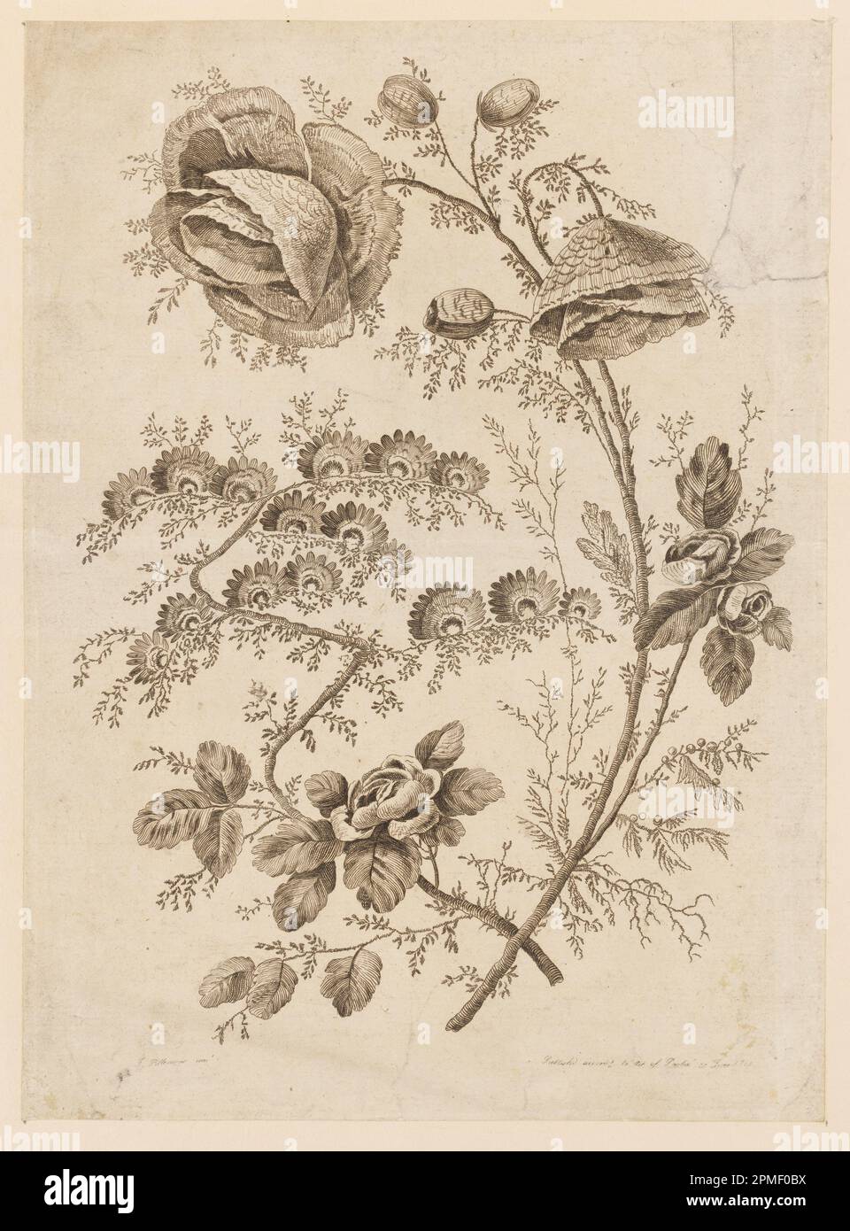 Stampa, fiore bough, da 'Cahier de Fleurs Singuliers'; progettato da Jean-Baptiste Pillement (francese, 1728-1808); Francia; incisione su carta Foto Stock