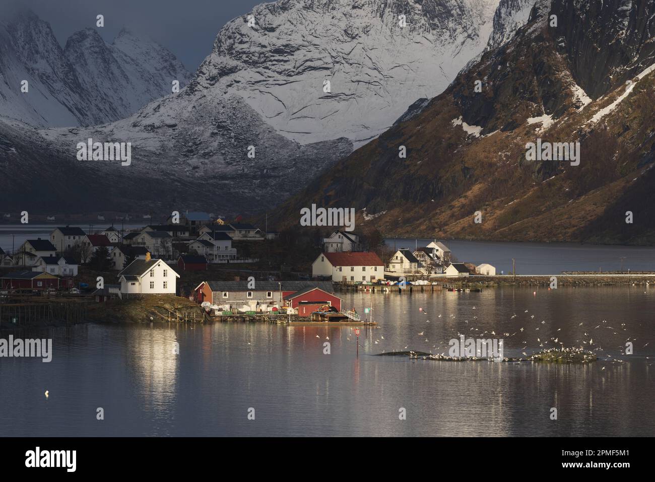 Norvegia, Nordland County, Isole Lofoten Reine, montagne, fjord e village Foto Stock