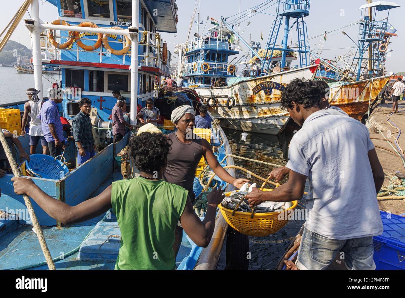 India, Goa, Panaji, porto di pesca, pescatori che scaricano il pesce da una barca Foto Stock