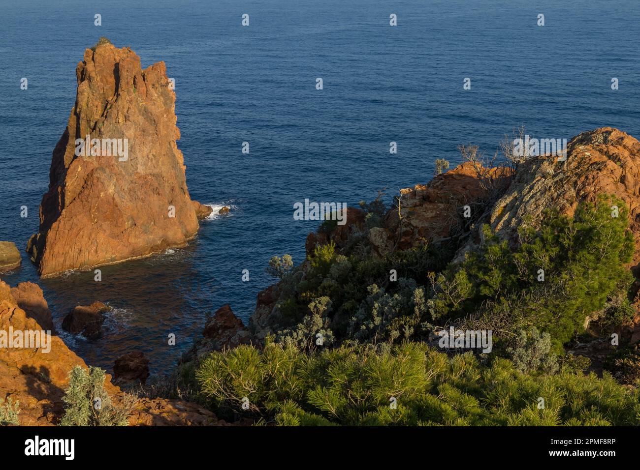 Costa rocciosa a Capo Dramont, Esterel, Costa Azzurra, Costa Azzurra, Francia, Europa Foto Stock