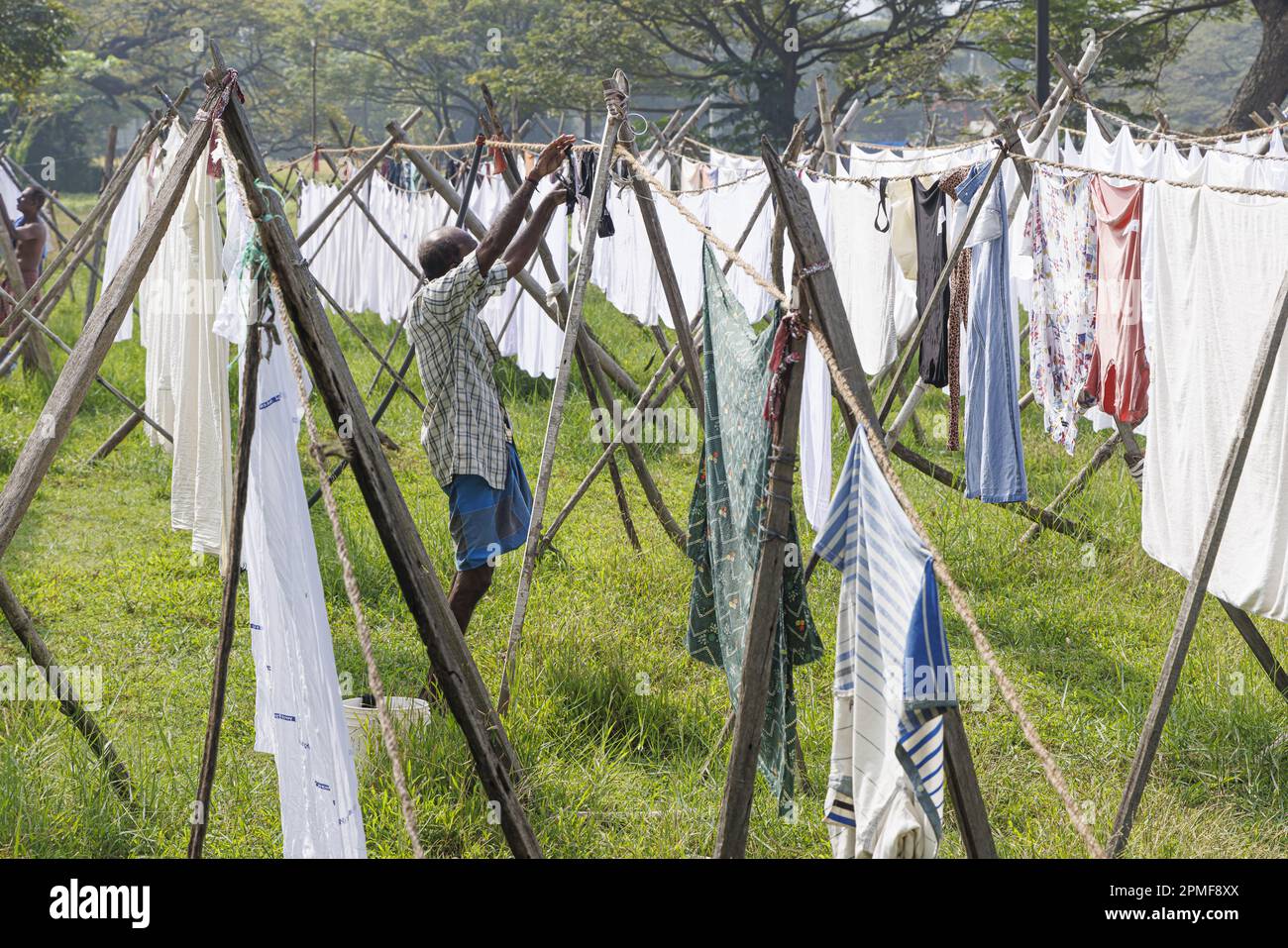 India, Kerala, Kochi, Dhobi Khana, uomo appeso lavanderia ad asciugare Foto Stock