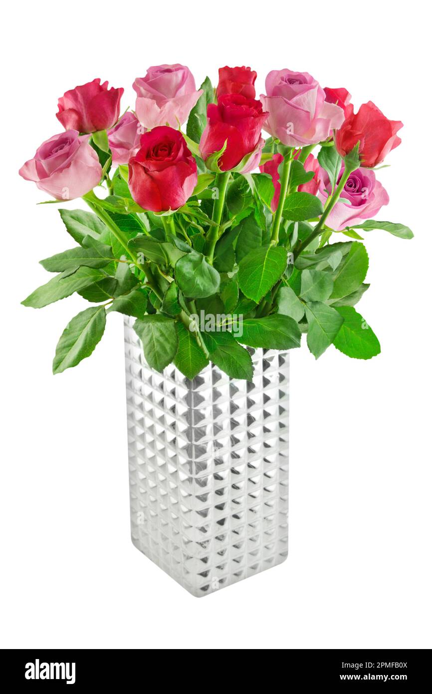 Rose rosa e rosse con vaso di fiori d'argento isolato su sfondo bianco Foto Stock