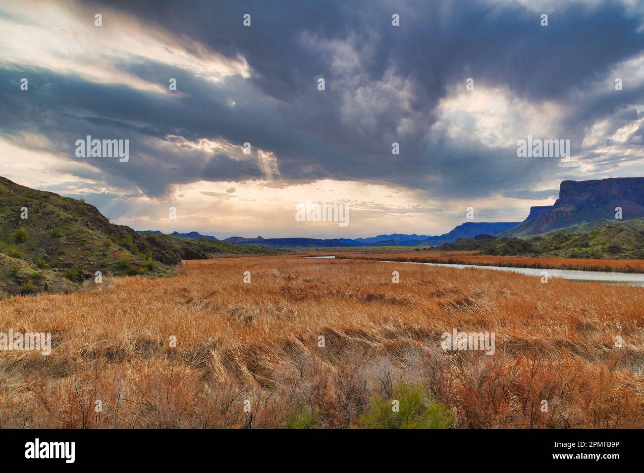 La valle e le zone umide del fiume Bill Williams nel Bill Williams River National Wildlife Refuge, Arizona, USA, in una giornata nuvolosa Foto Stock