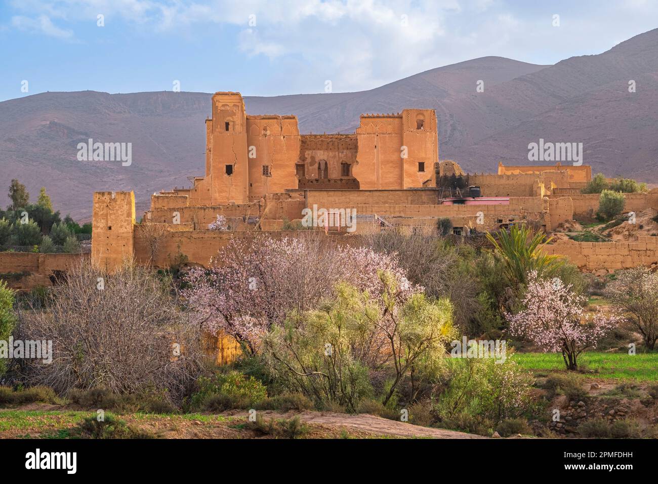 Marocco, Taliouine, la Kasbah del Glaoui tra mandorli fioriti Foto Stock