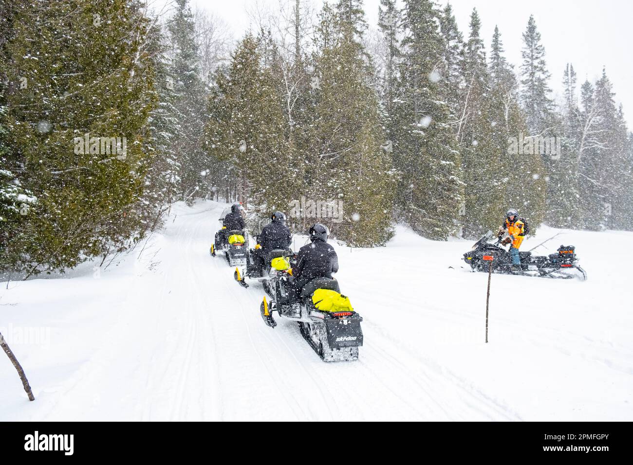 Canada, Provincia del Quebec, Parco Regionale del Lac Taureau, motoslitta fuori pista Foto Stock