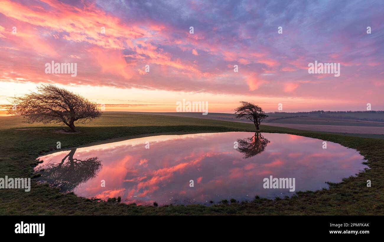 Il vibrante cielo dell'alba si riflette nel Ditchling beacon dew stagno sul sud giù via est Sussex sud est Inghilterra Foto Stock