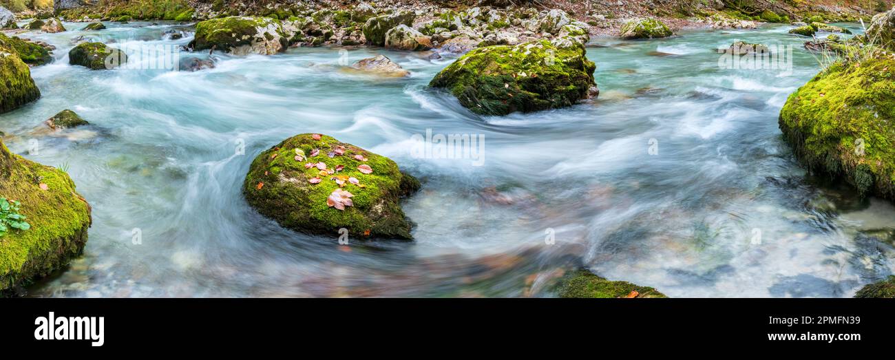 panoramico fiume selvaggio in profondo canyon Foto Stock