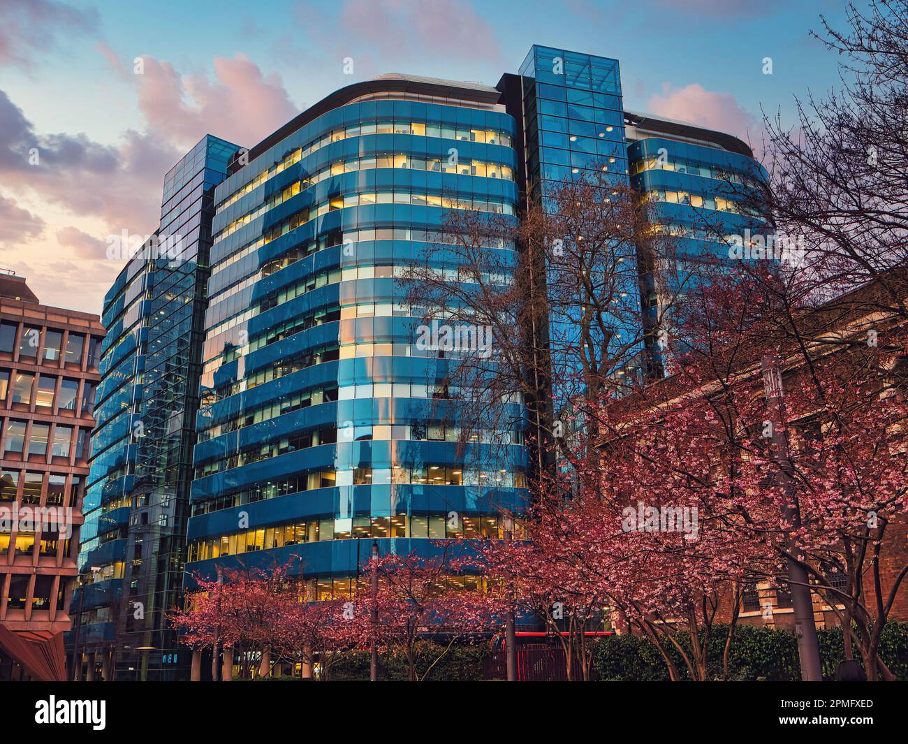 Un sorprendente contrasto di natura e architettura, rosa e blu. Alberi in fiore fuori dall'edificio St Botolph nella zona di Houndsgate di Londra Foto Stock