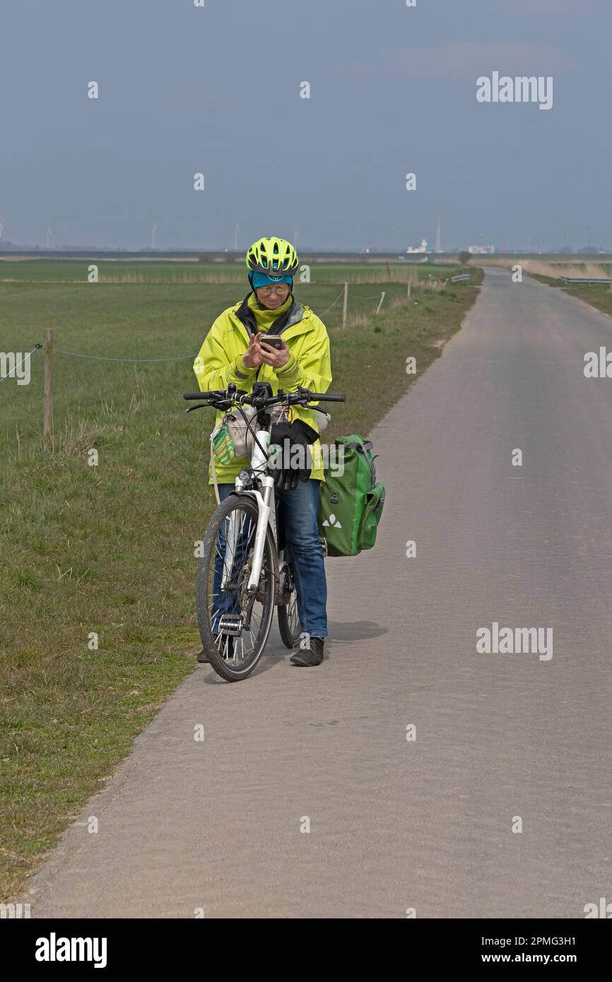 Ciclista che controlla il suo cellulare, pista ciclabile vicino a Allwörden, bassa Sassonia, Germania Foto Stock