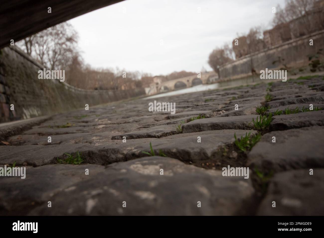 Roma Trastevere, sponda del Tevere, primo piano dei caratteristici ciottoli Foto Stock