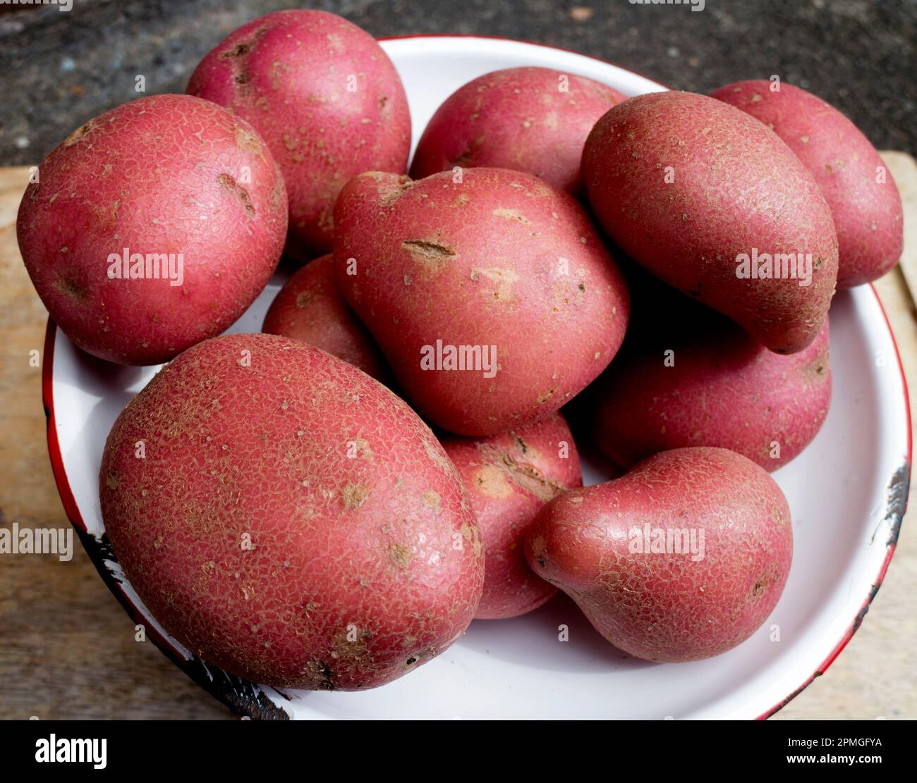 Patate al gallo originali Albert Bartlett. Foto Stock