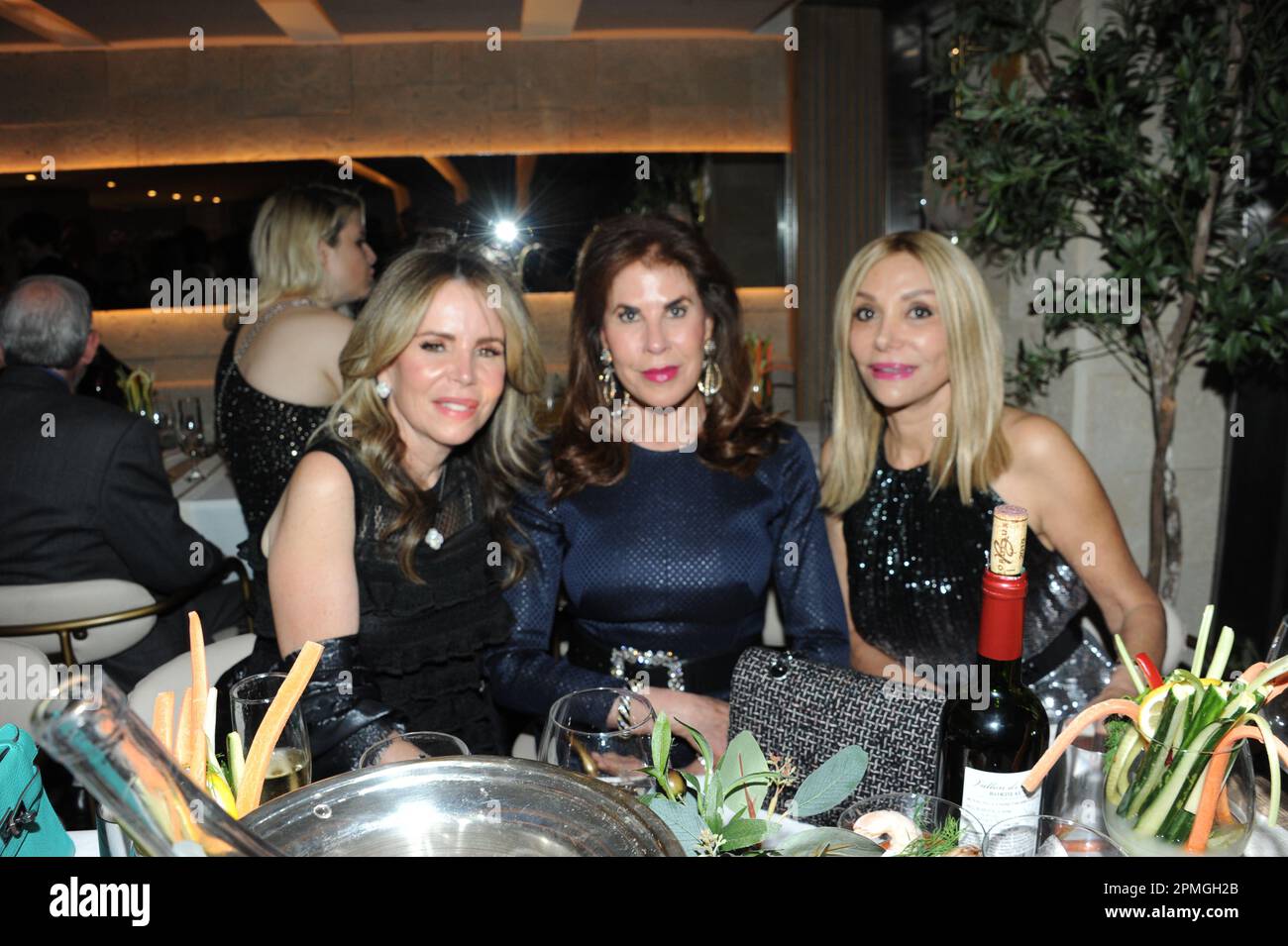 Kayla Rockefeller lancia gioielli con PARK Magazine NY, con Julia HAART, Isabelle Bscher, Couri Hay, Elton Ilirjani, Nadja Sayej, Alina Mehrle Foto Stock