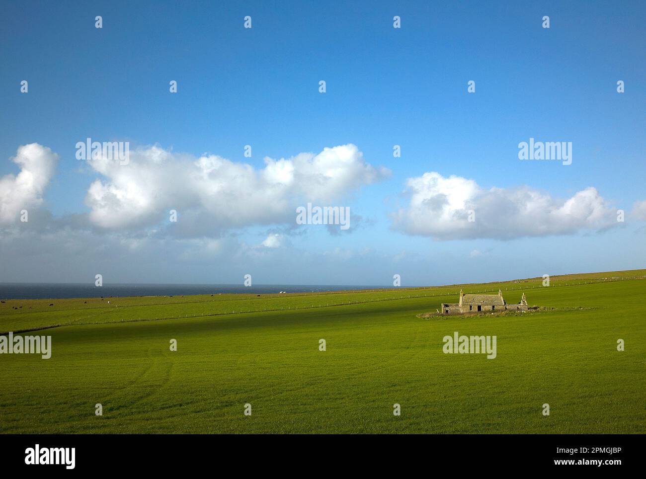Fotografia a colori di un cottage in pietra e campi, Swannay, Isole Orcadi, Scozia, Regno Unito, 2022. Foto Stock
