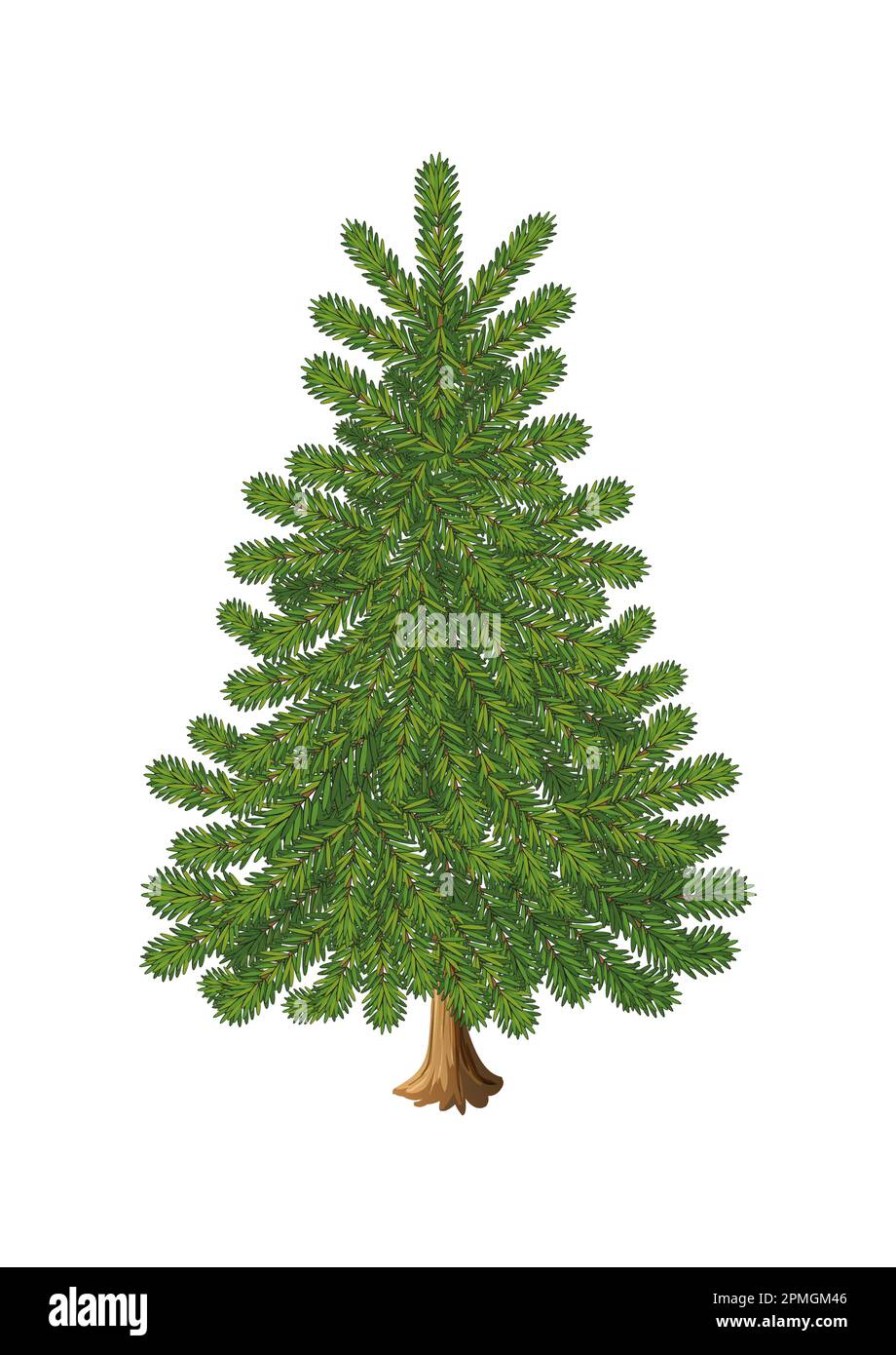 Vettore ad albero di abete realistico. Albero di Natale Illustrazione Vettoriale