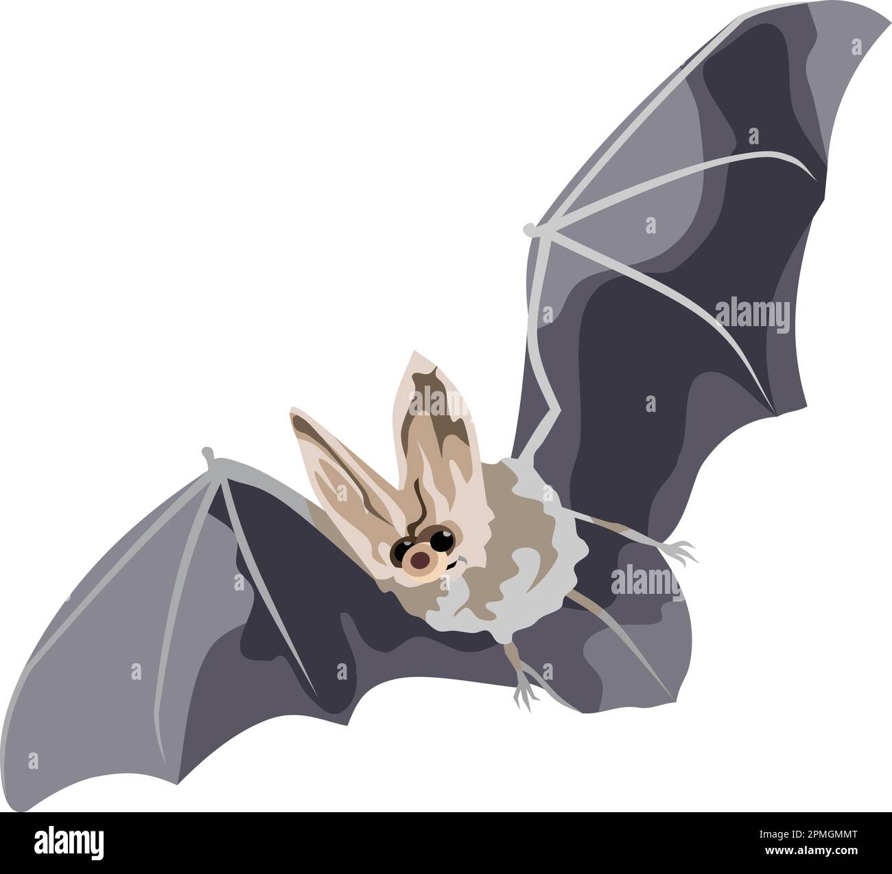 Vettore animale di mammifero di Bat volante Illustrazione Vettoriale