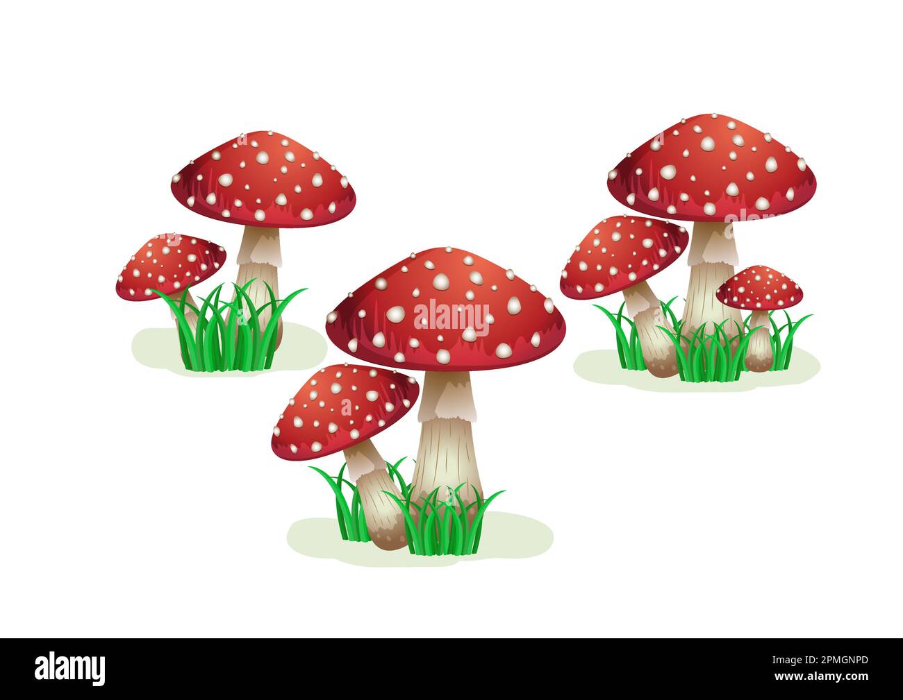 Set di funghi isolati su sfondo bianco Illustrazione Vettoriale