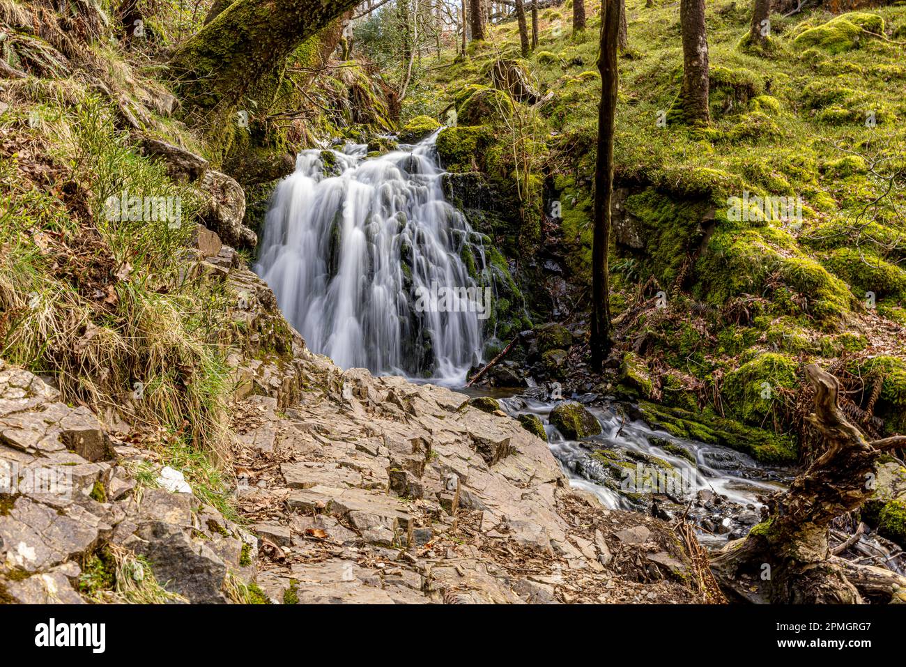 Il Lake District National Park, Cumbria, Inghilterra, Regno Unito Foto Stock