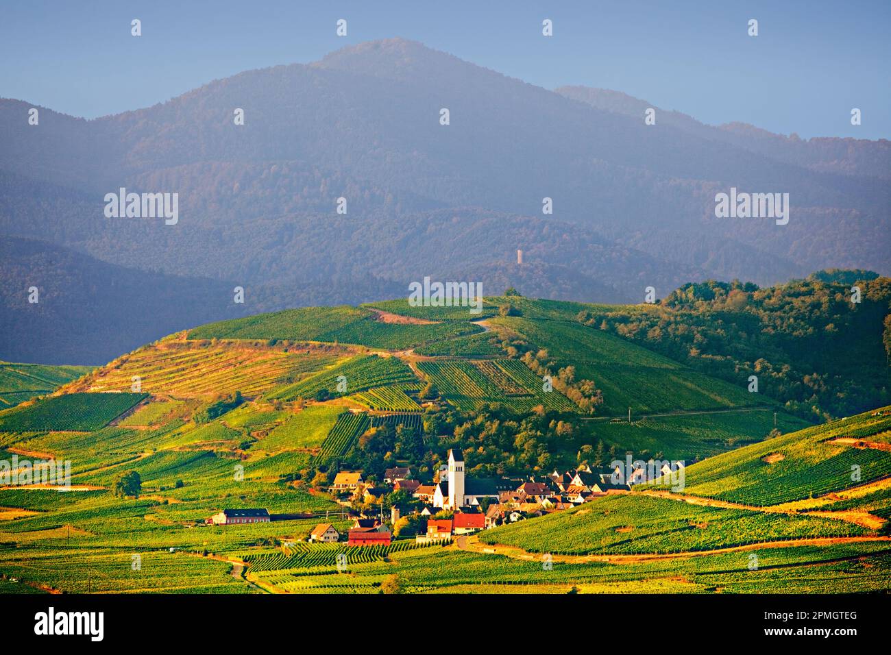 Vista del villaggio del vino di Kathenthal di fronte ai Vosgi Montagne, Alsazia, Francia Foto Stock