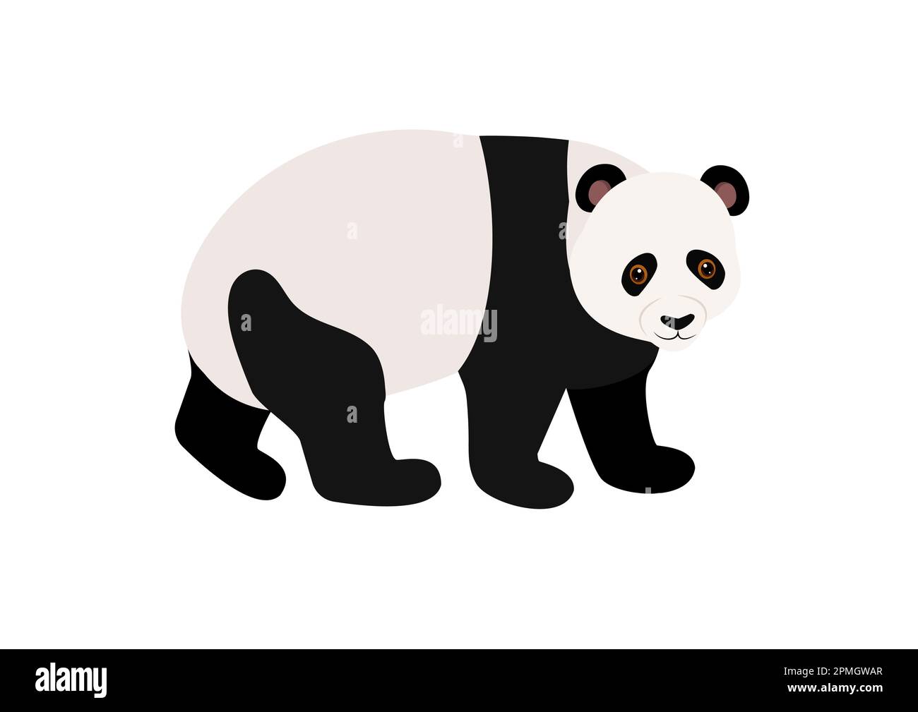 Illustrazione vettoriale di panda cartoon isolato su sfondo bianco Illustrazione Vettoriale