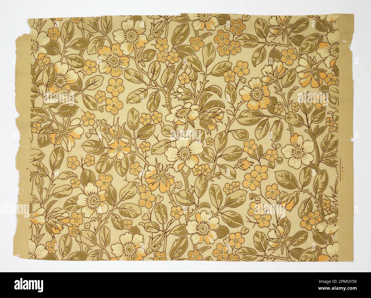 Parete laterale; stampata a macchina; 51 x 37 cm (20 1/16 x 14 9/16 pollici) Foto Stock