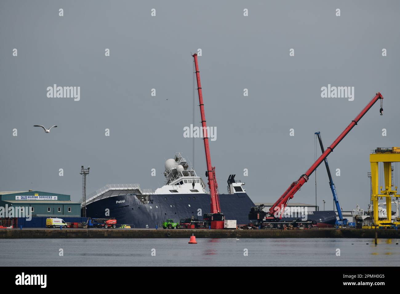 Edimburgo Scozia, Regno Unito 13 aprile 2023. Grandi gru rosse posizionate presso l'Imperial Dock vicino alla nave Petrel che si è ribaltata mentre era in dry dock nel mese di marzo. credito sst/alamy notizie dal vivo Foto Stock