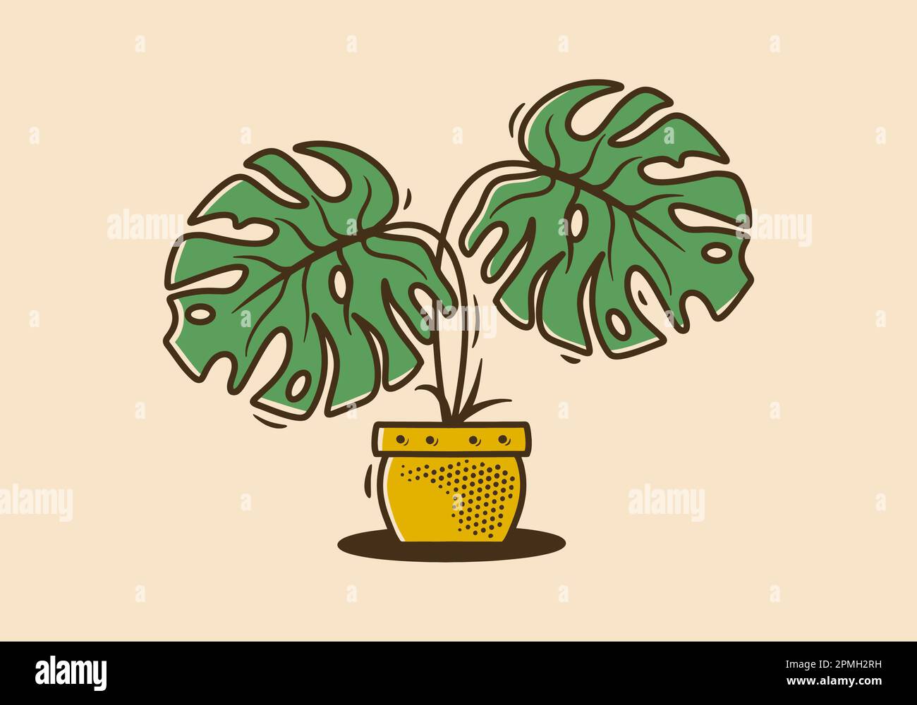 Pianta verde di Monstera deliziosa con disegno illustrativo a due grandi foglie Illustrazione Vettoriale