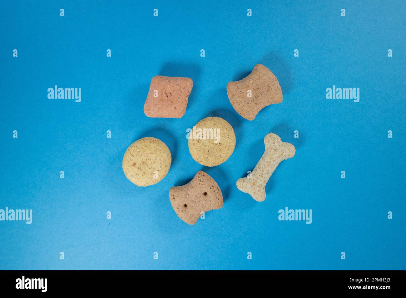 sei diversi biscotti per cani di forma isolata su sfondo blu Foto Stock