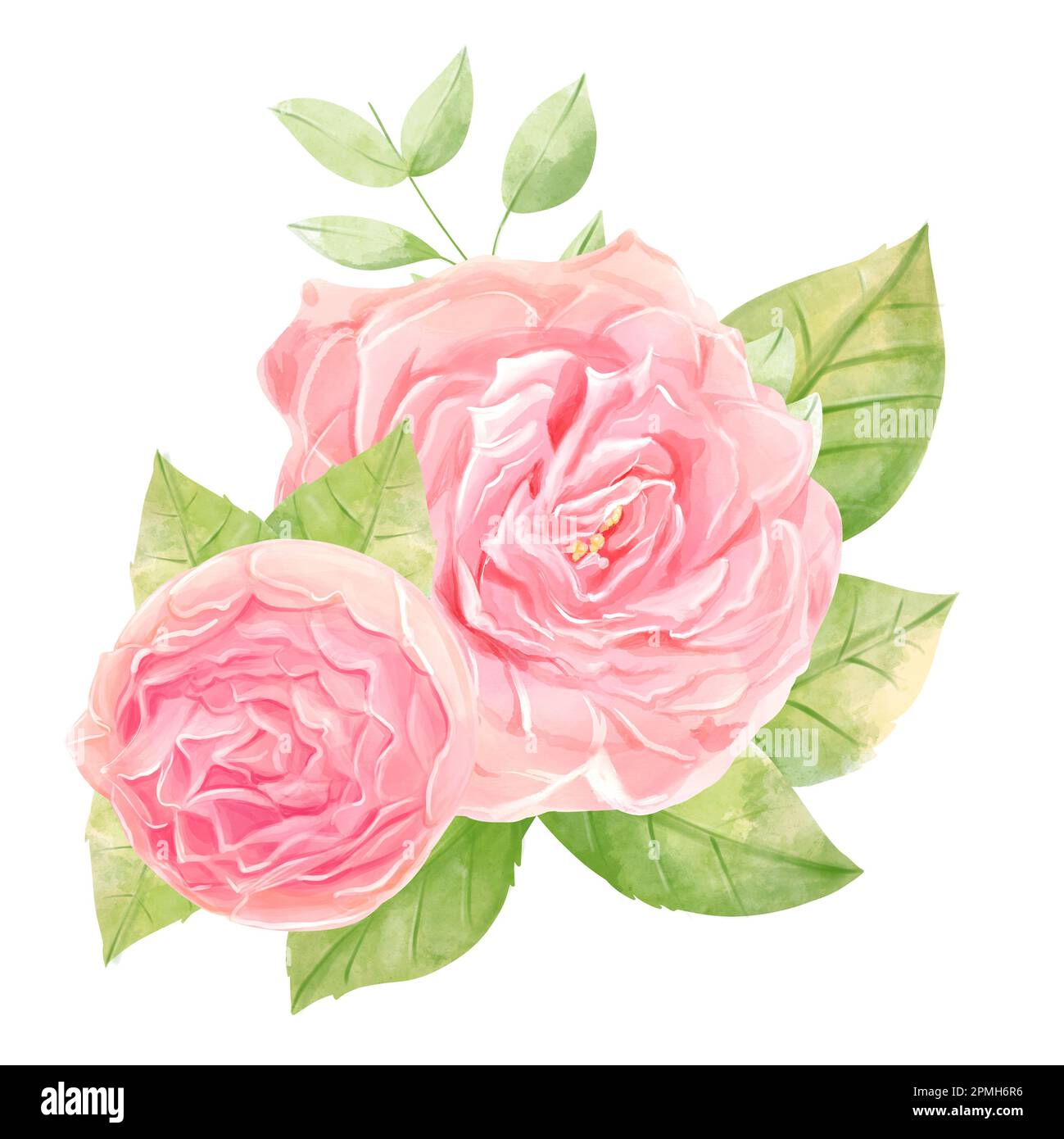 Acquerello Roses composizione bouquet in stile romantico. Foto Stock