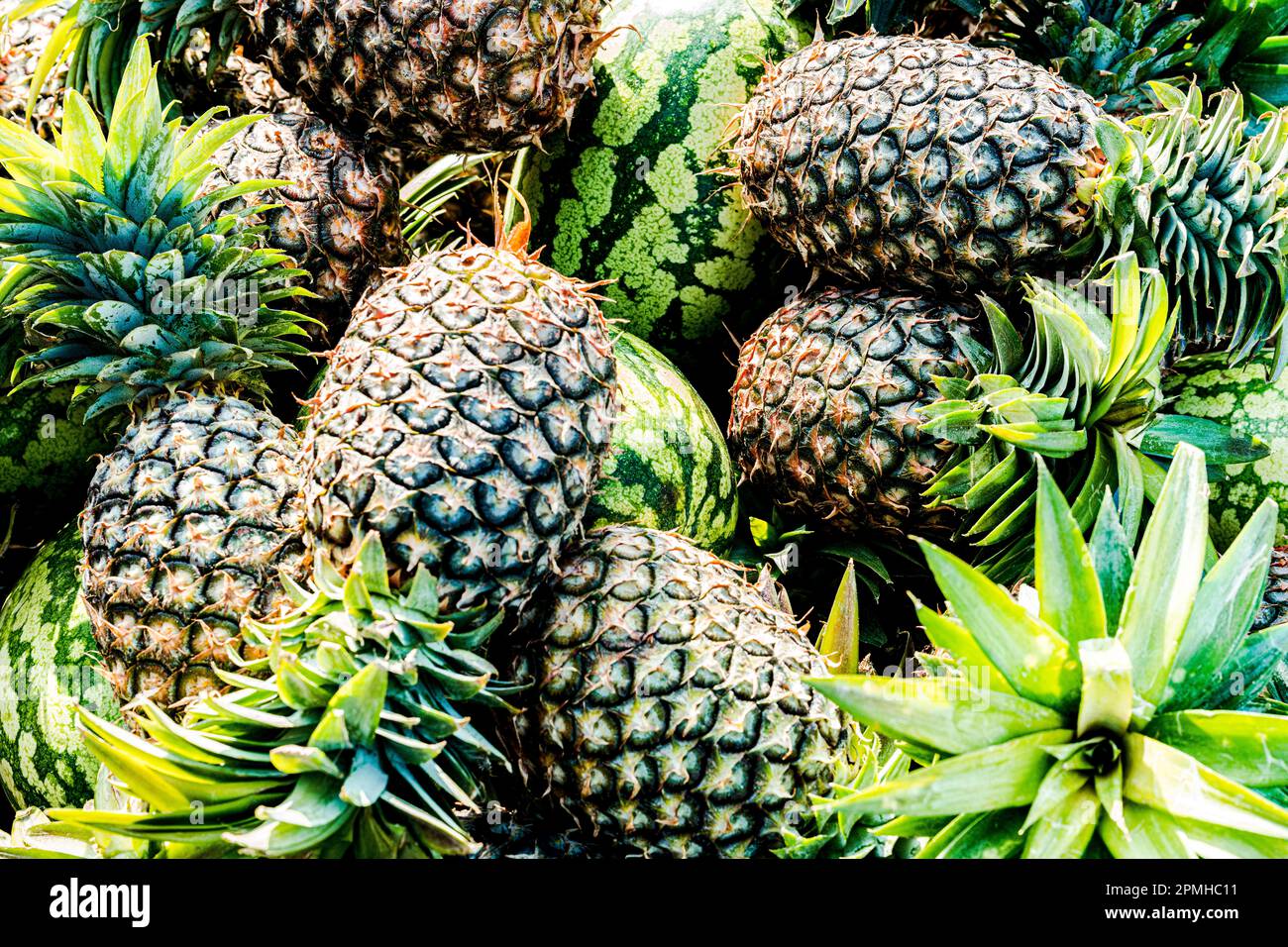 Ananas e anguria, Zanzibar, Tanzania, Africa orientale, Africa Foto Stock