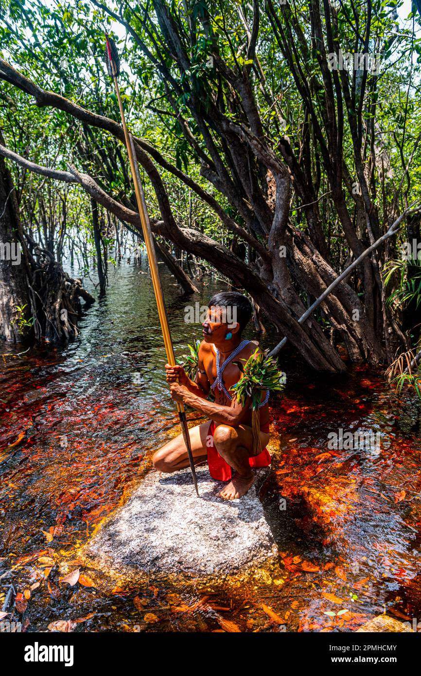 Uomo della tribù degli Yanomami con arco e freccia nelle paludi, Venezuela meridionale, Sud America Foto Stock