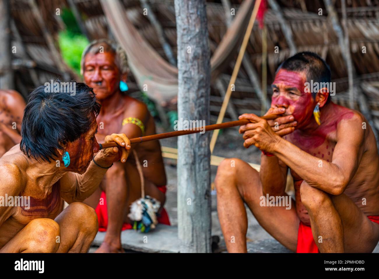 Sciamani della tribù degli Yanomami che praticano metodi di guarigione tradizionali, Venezuela meridionale, Sud America Foto Stock