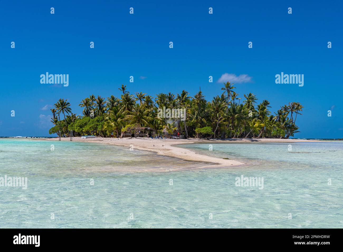 Motu con frange di palma nella Laguna Blu, atollo di Rangiroa, Tuamotus, Polinesia Francese, Sud Pacifico, Pacifico Foto Stock