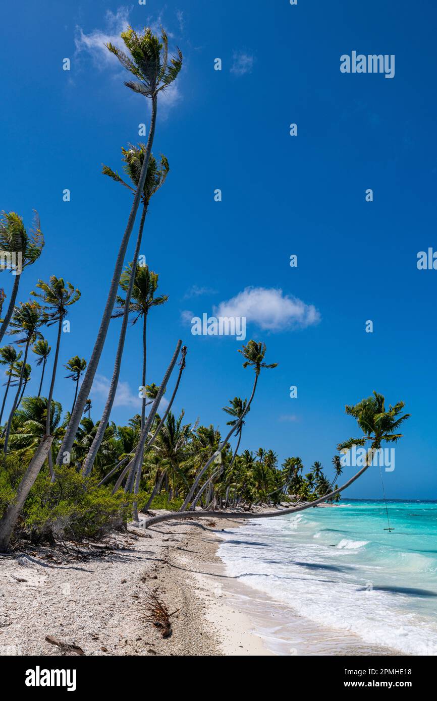 Spiaggia di sabbia bianca PK-9, Fakarava, arcipelago delle Tuamotu, Polinesia francese, Pacifico del Sud, Pacifico Foto Stock