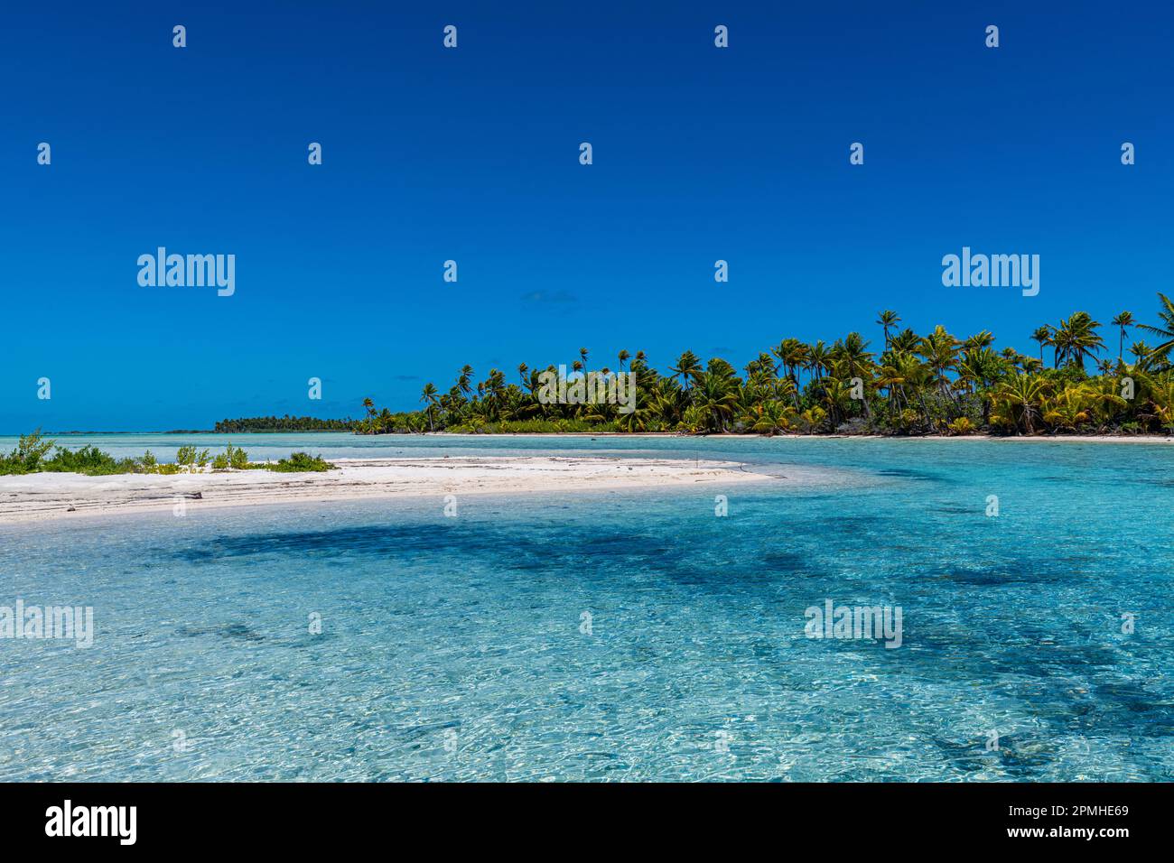 Laguna Blu, Fakarava, arcipelago delle Tuamotu, Polinesia francese, Pacifico del Sud, Pacifico Foto Stock