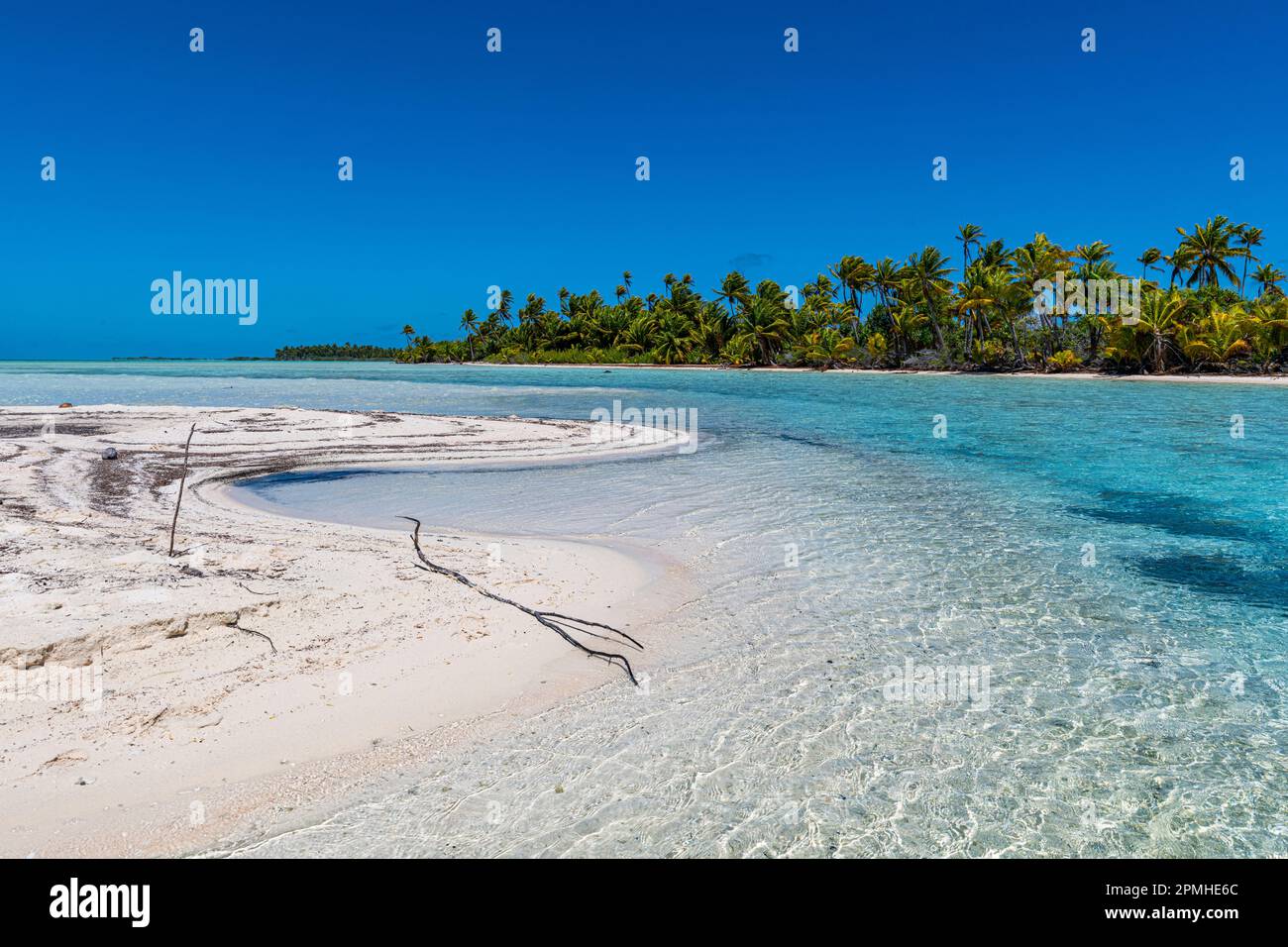 Laguna Blu, Fakarava, arcipelago delle Tuamotu, Polinesia francese, Pacifico del Sud, Pacifico Foto Stock