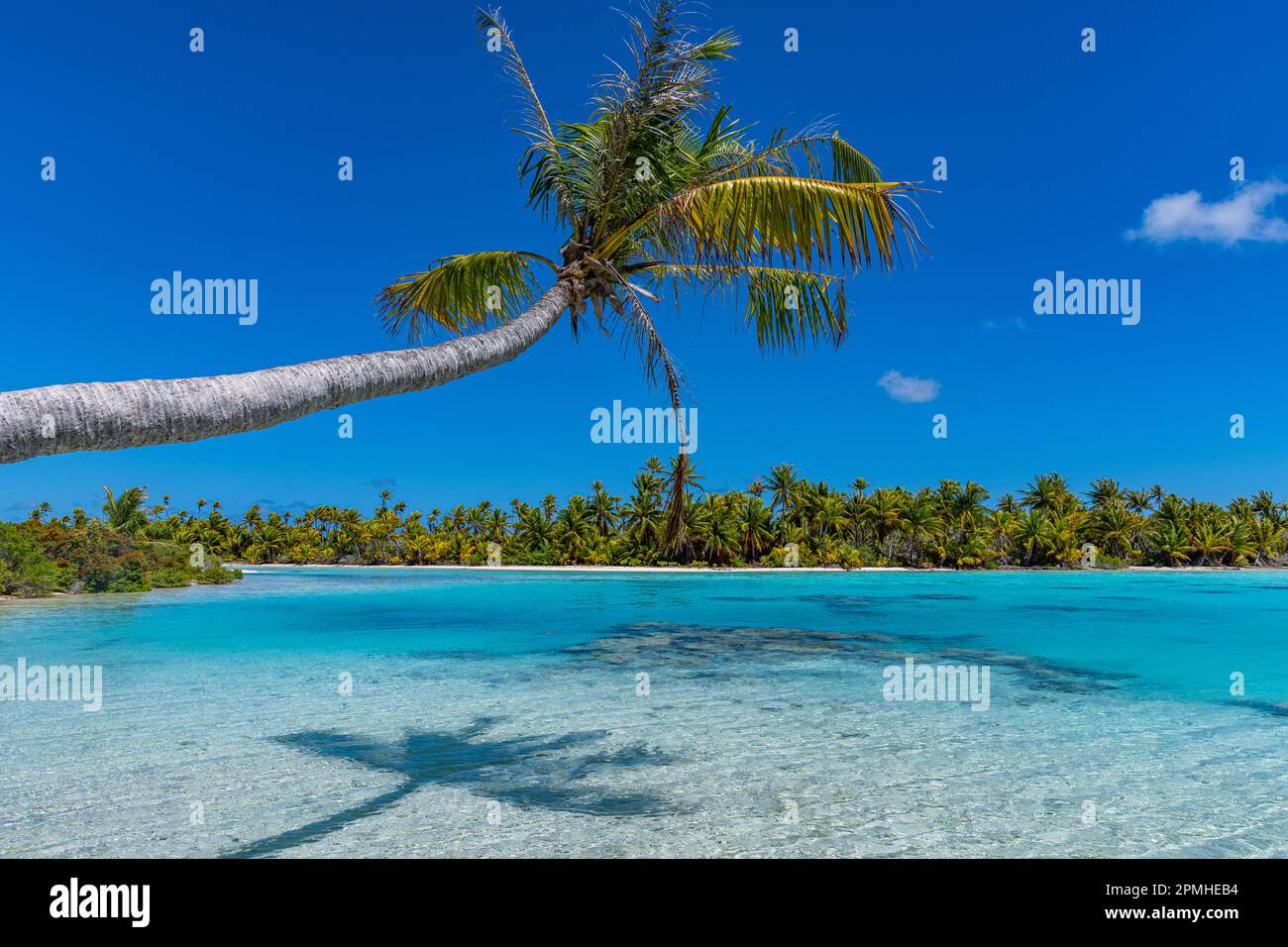 Laguna Blu, Fakarava, arcipelago delle Tuamotu, Polinesia francese, Pacifico del Sud, Pacifico Foto Stock