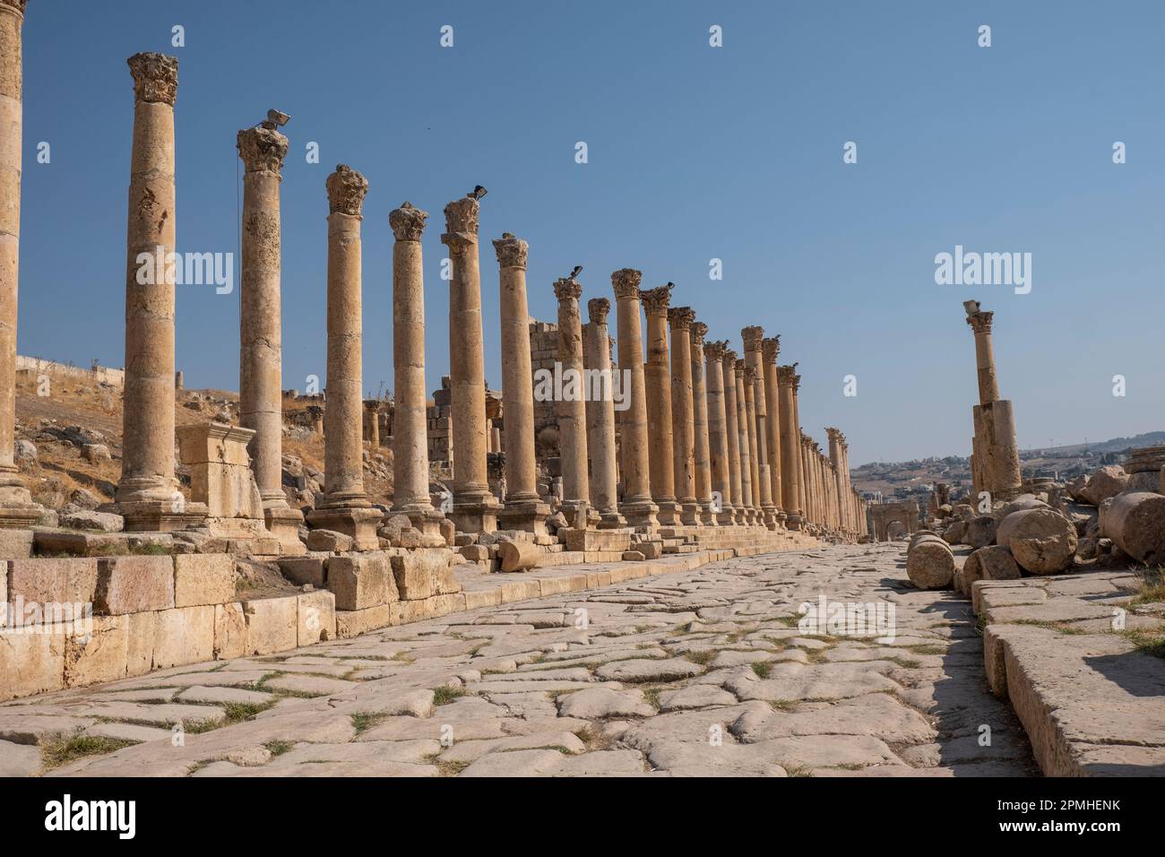 Le rovine romane con una lunga strada colonnata, Jerash, Giordania, Medio Oriente Foto Stock