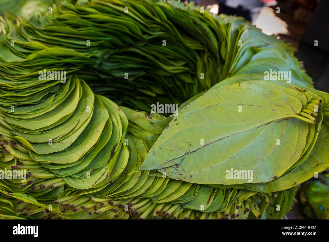 Foglie di betel organizzate in cerchio che uso birmano per masticare, Inn Thein mercato, Lago Inle, Stato Shan, Myanmar (Birmania), Asia Foto Stock