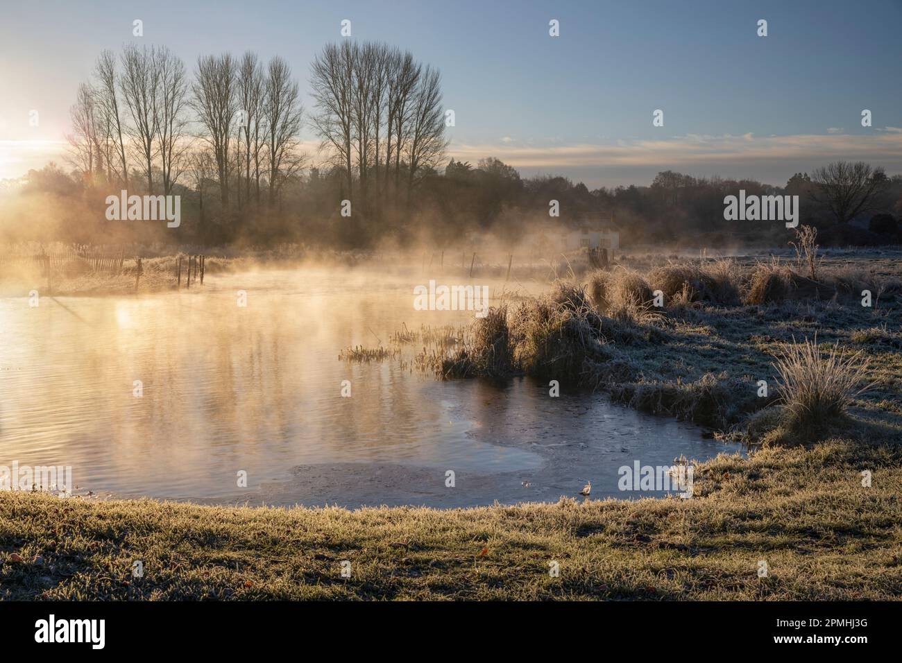 Frosty alba invernale con nebbia sul River Test su Chilbolton Cow Common SSSI (Sito di interesse scientifico speciale), Wherwell, Hampshire, Inghilterra Foto Stock
