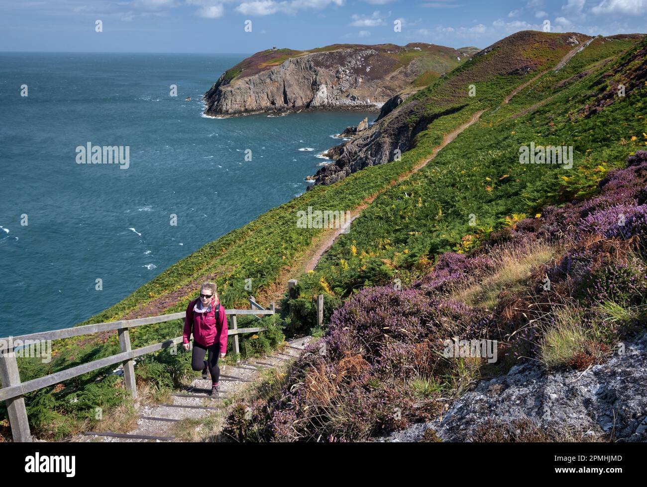 Giovane donna che cammina lungo il percorso della costa di Anglesey in estate, vicino a Cemaes, Isola di Anglesey, Galles del Nord, Galles, Regno Unito, Europa Foto Stock