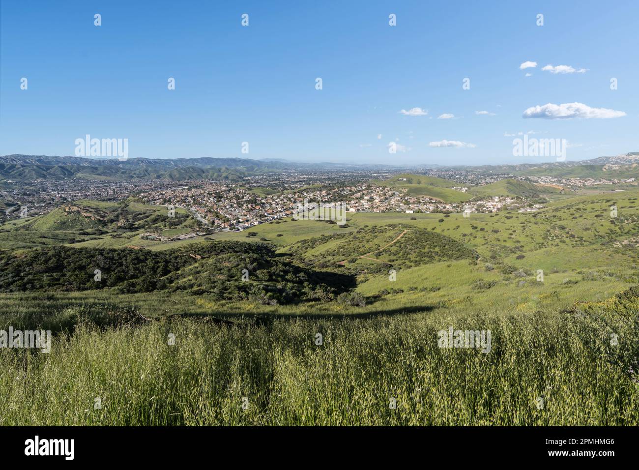 Colline di erba primaverile, prati e abitazioni suburbane nella Simi Valley vicino a Los Angeles nella Contea di Ventura in California. Foto Stock