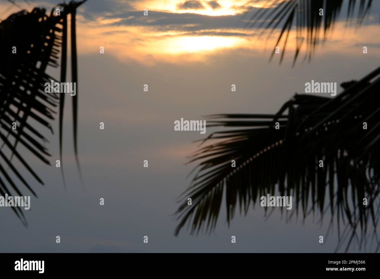 Cielo proprio di fronte al tramonto, Lovina Beach, Bali Nord, Bali, Indonesia Foto Stock