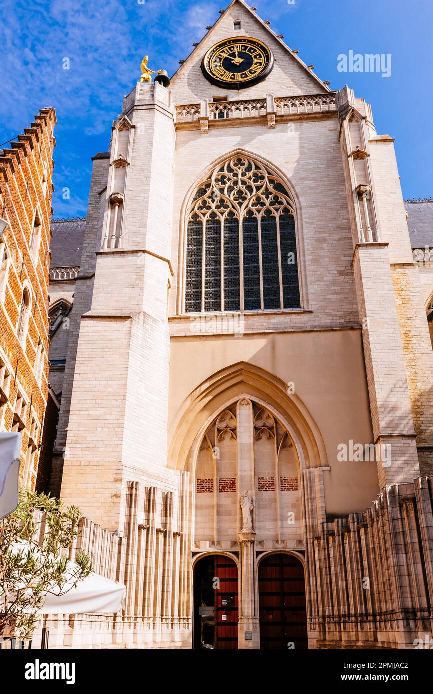 Porta d'ingresso nel transetto. La Chiesa di San Pietro è una chiesa cattolica romana costruita nel 15th ° secolo in stile gotico Brabantine. Leuven, Flemi Foto Stock
