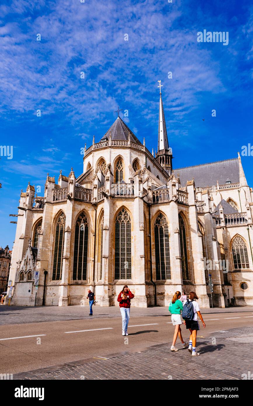 Abside. La Chiesa di San Pietro è una chiesa cattolica romana costruita nel 15th ° secolo in stile gotico Brabantine. Leuven, Comunità fiamminga, Reg. Fiamminga Foto Stock