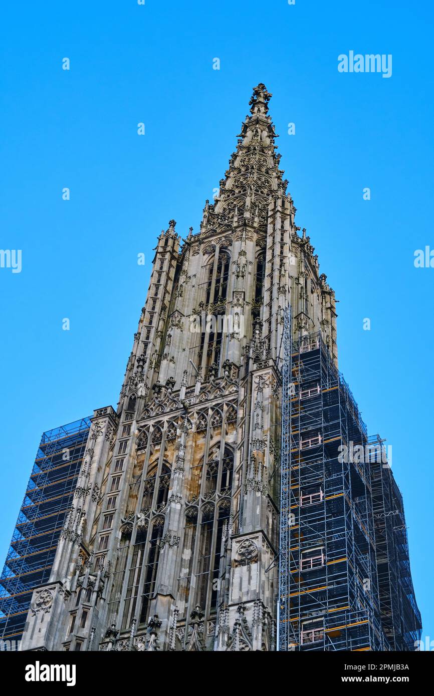 Il campanile occidentale del famoso Ulm Minster, una cattedrale gotica, Ulm, Baden-Württemberg, Germania. Foto Stock