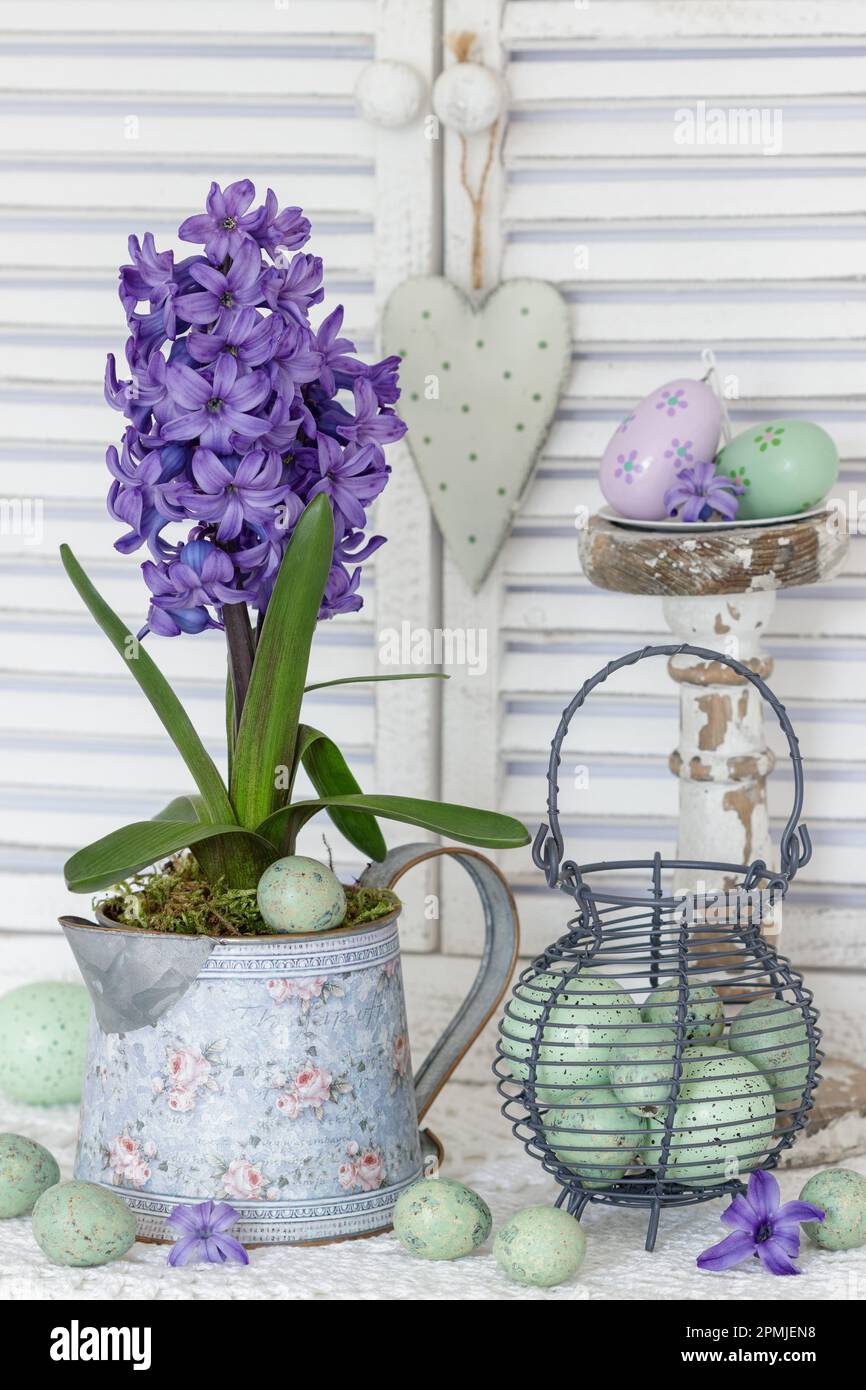 decorazione con hyacinthe viola in caraffa d'epoca e uova di pasqua in cesto d'uova Foto Stock