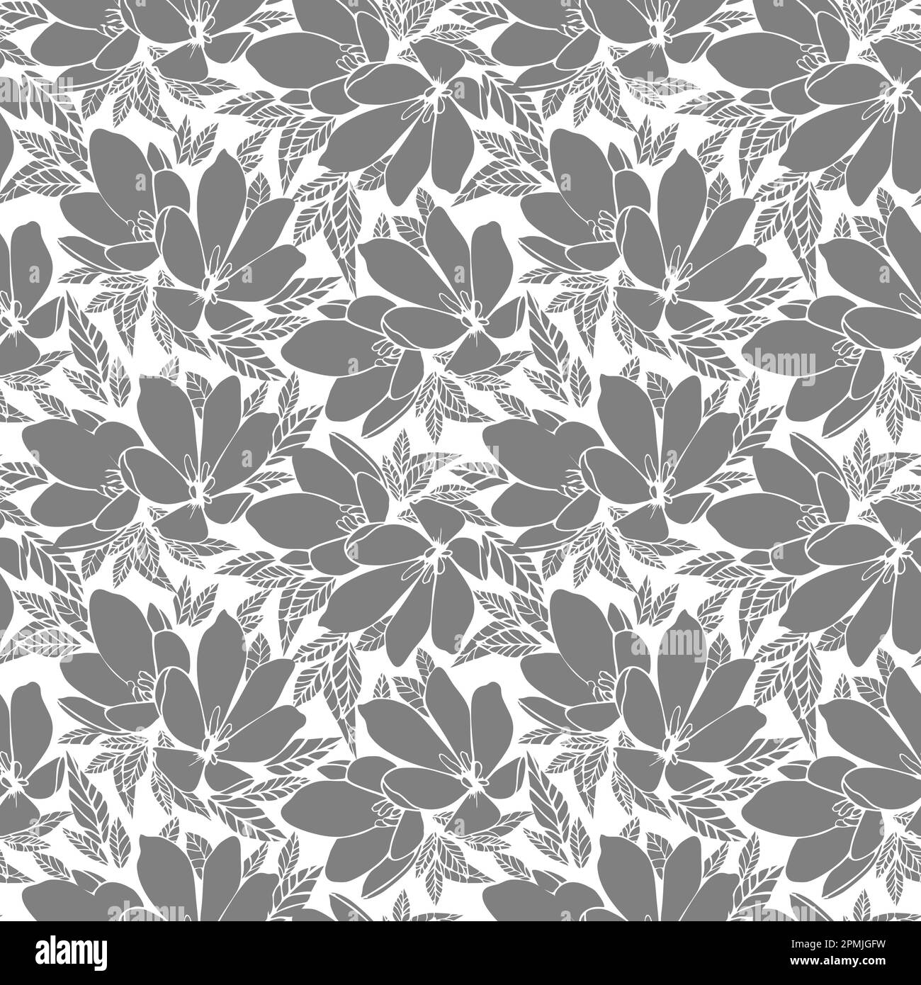 motivo asimmetrico con contorno grigio floreale senza cuciture su sfondo bianco, design, sfondo Foto Stock